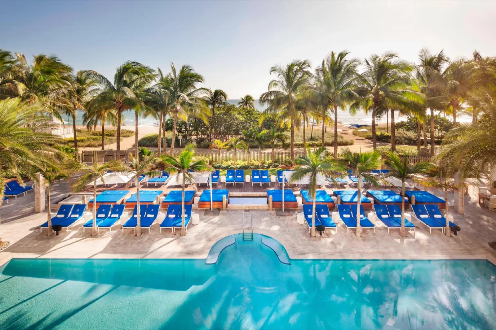 St. Regis Bal Harbour – Pool und Liegen von oben
